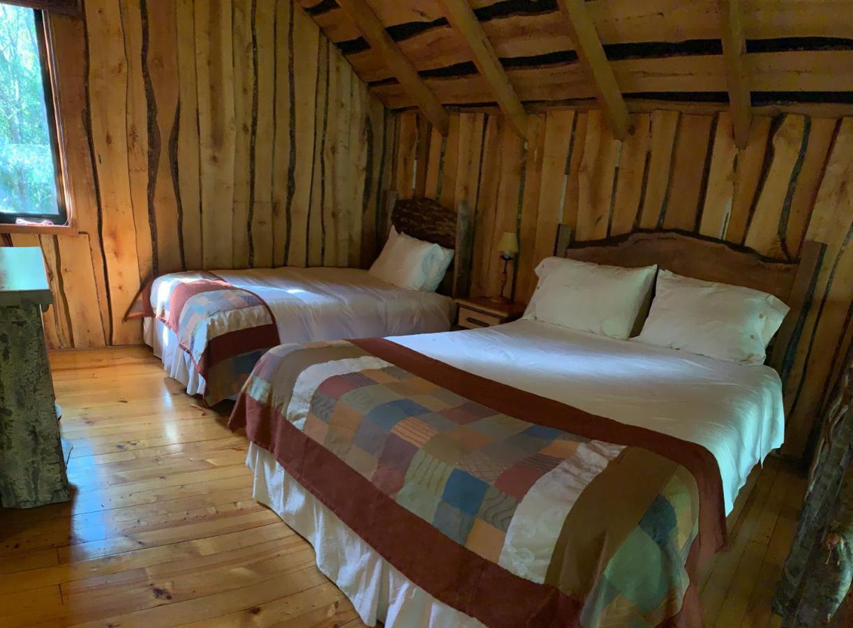 Cabanas Natural Park Lodge Pucon Ngoại thất bức ảnh