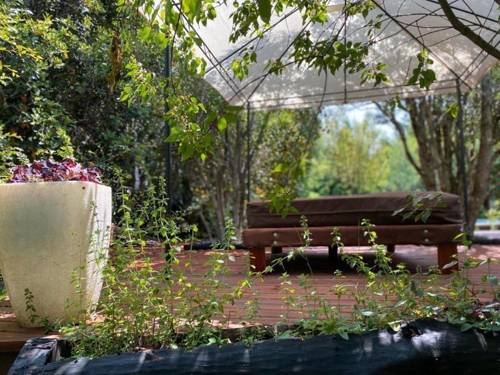 Cabanas Natural Park Lodge Pucon Ngoại thất bức ảnh