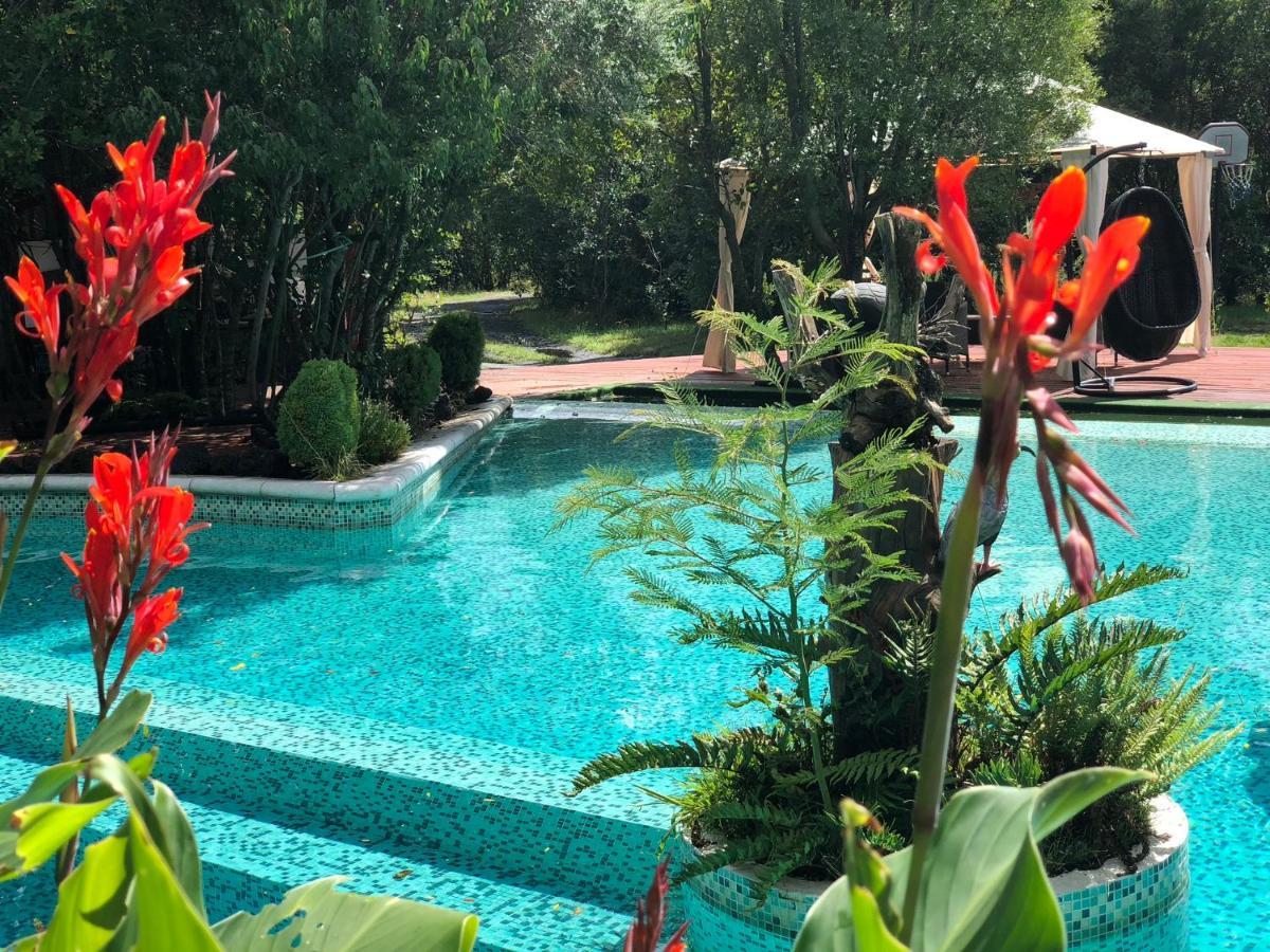 Cabanas Natural Park Lodge Pucon Ngoại thất bức ảnh