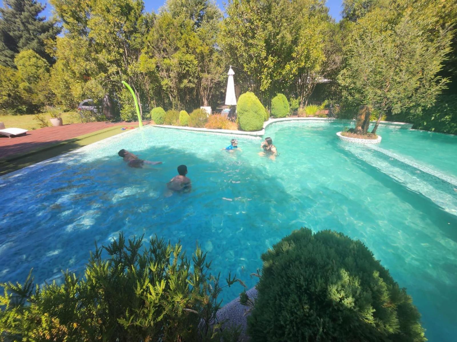 Cabanas Natural Park Lodge Pucon Ngoại thất bức ảnh