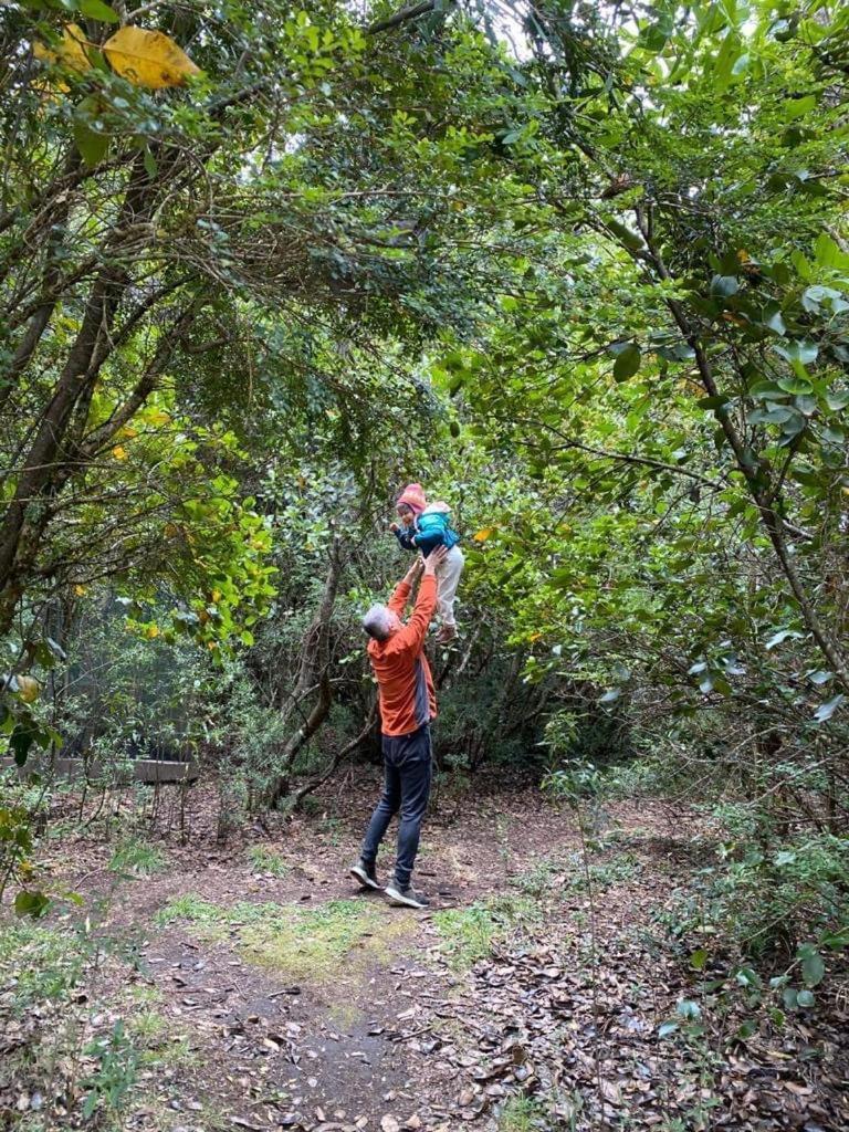 Cabanas Natural Park Lodge Pucon Ngoại thất bức ảnh