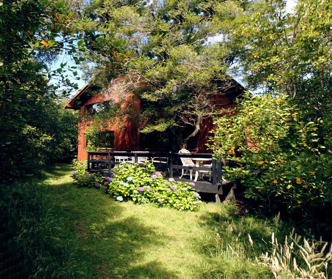 Cabanas Natural Park Lodge Pucon Ngoại thất bức ảnh